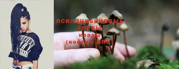 дмт Каменногорск