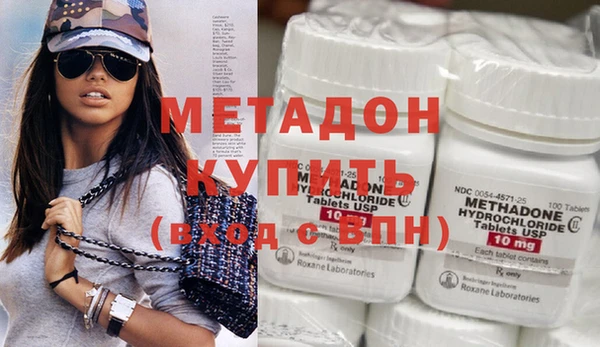 прущие грибы Инта