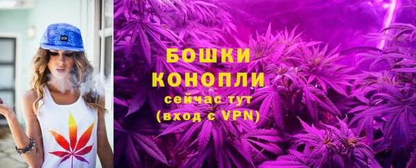 дмт Каменногорск