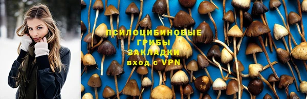 кокс Каменка