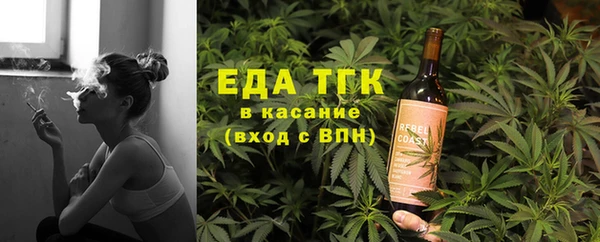 прущие грибы Инта