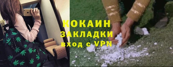 кокс Каменка