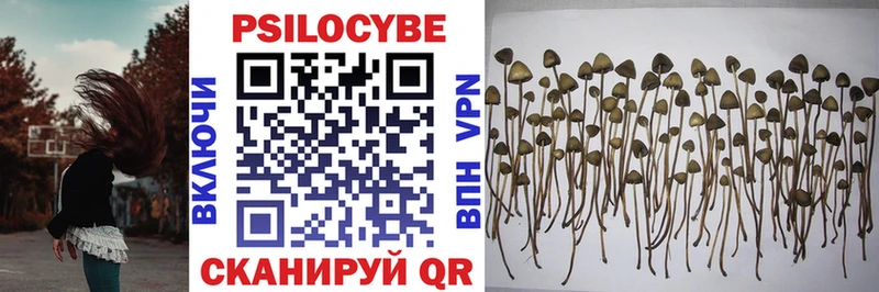 Псилоцибиновые грибы мухоморы  Мариинский Посад 